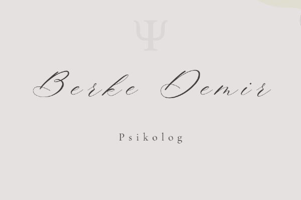 pskberkedemir